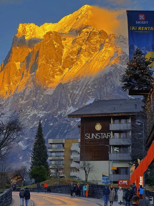 爱游戏入口-瑞士一战步枪